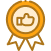 Certified Icon